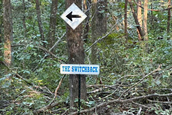 The Switchback