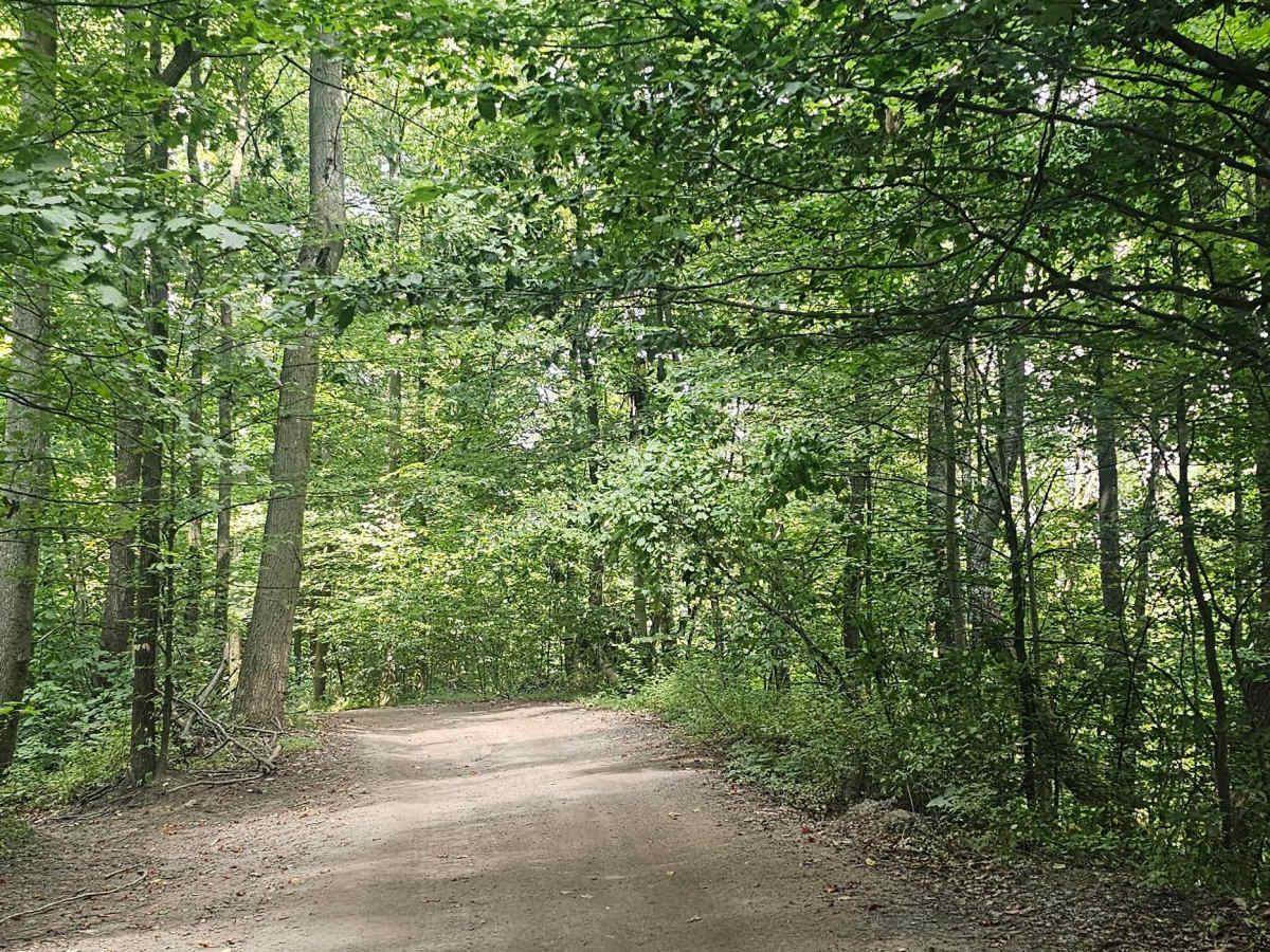 Trail 13 photo 4