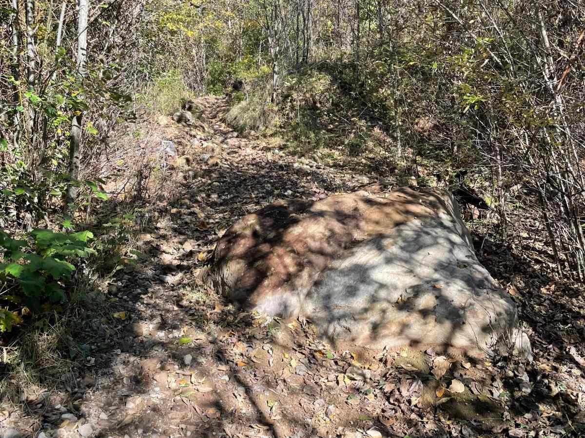 Lower Hydro Hill trail photo