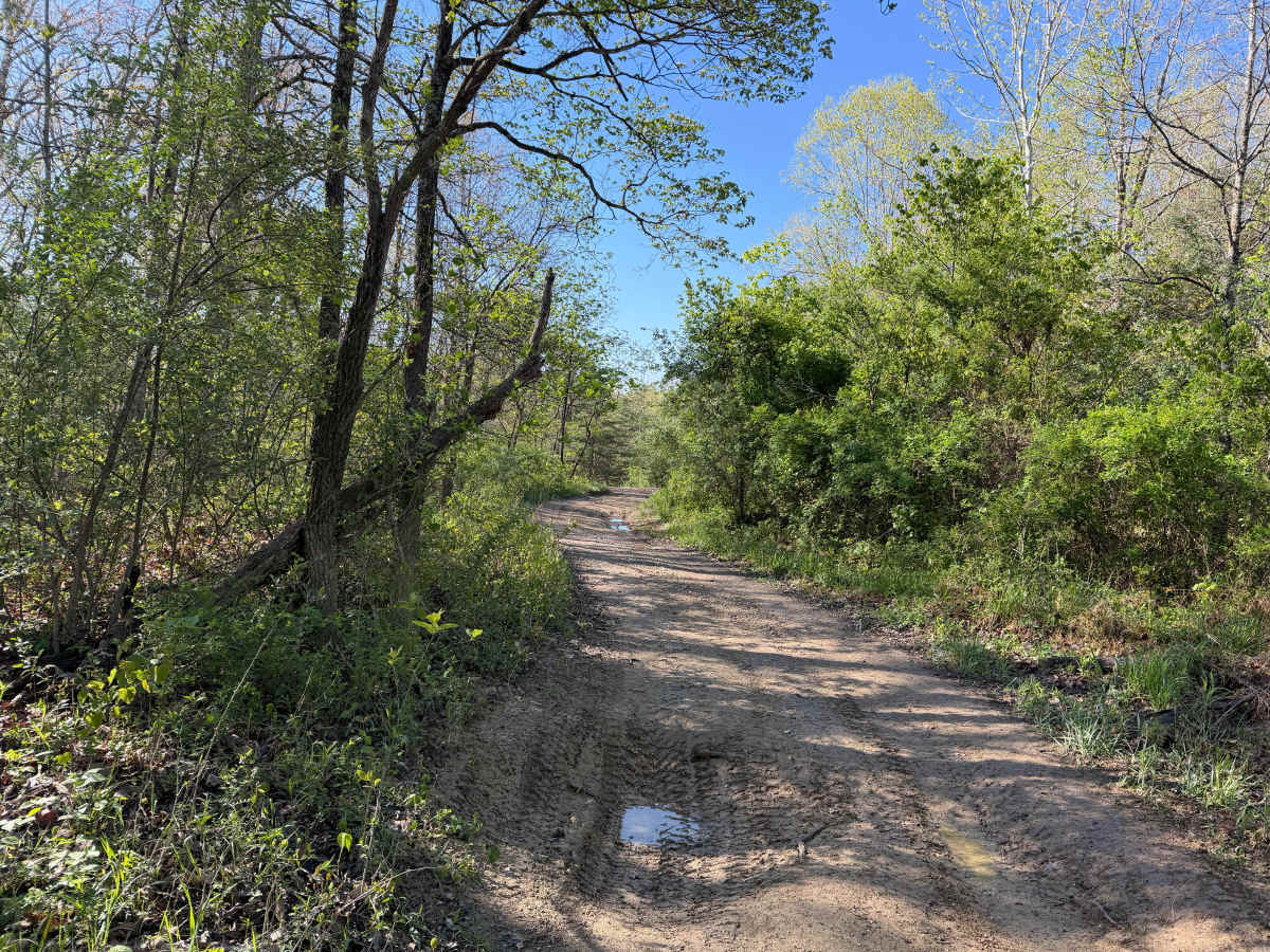 Bear Claw Trail photo 5