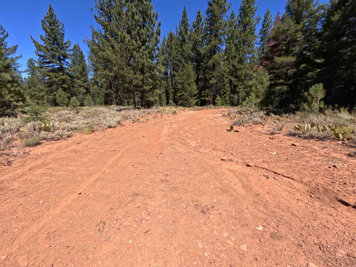 Holcombs Rd Spur - FS 0260-050 photo 3