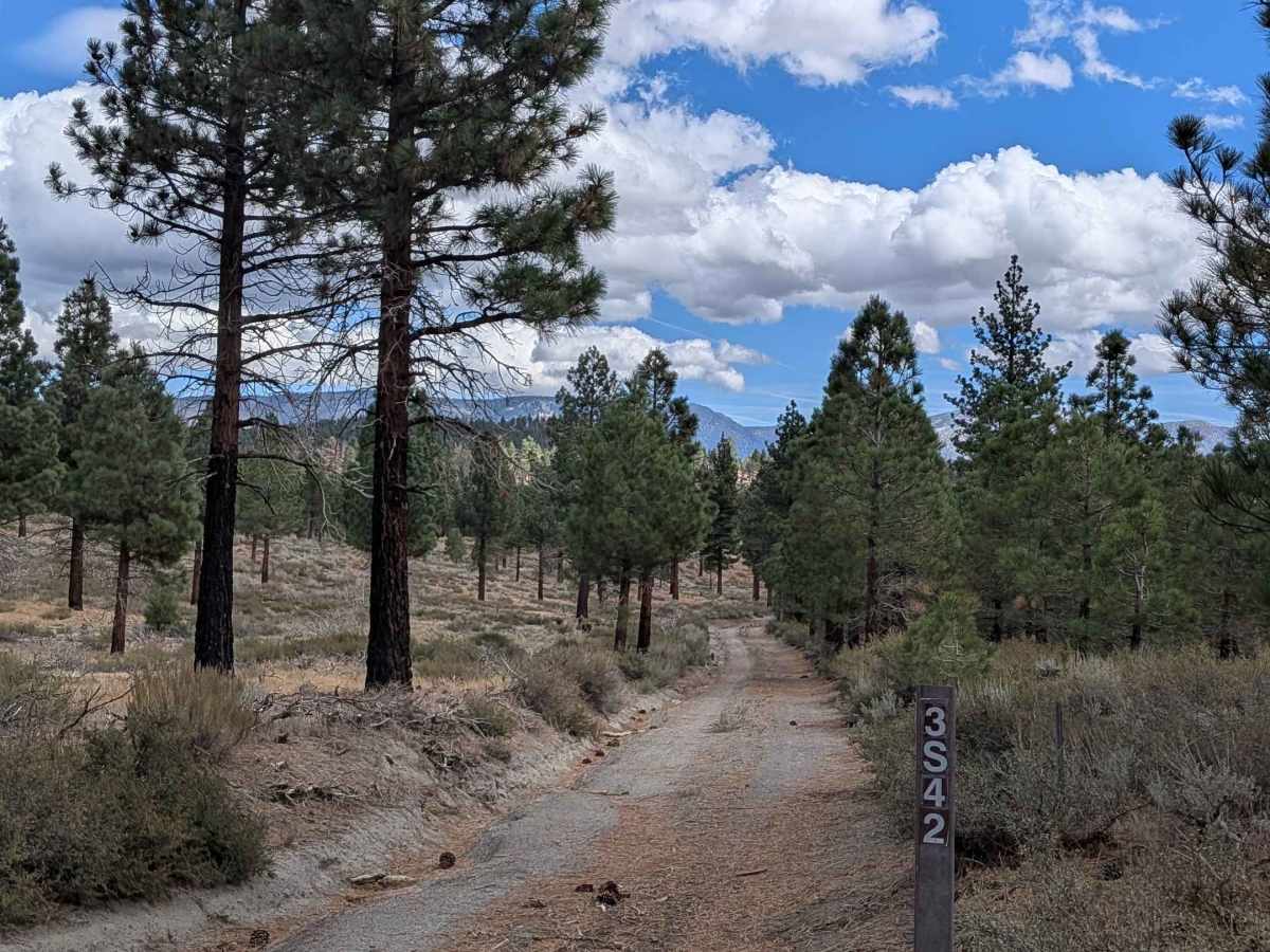 Pumice Canyon Cutoff - FS 3S42 trail photo