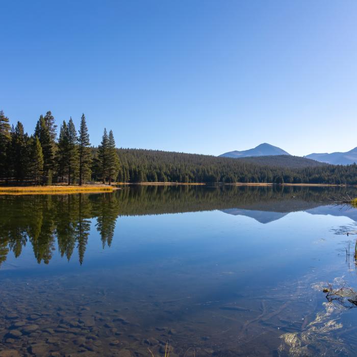 Near Dog Lake Trail