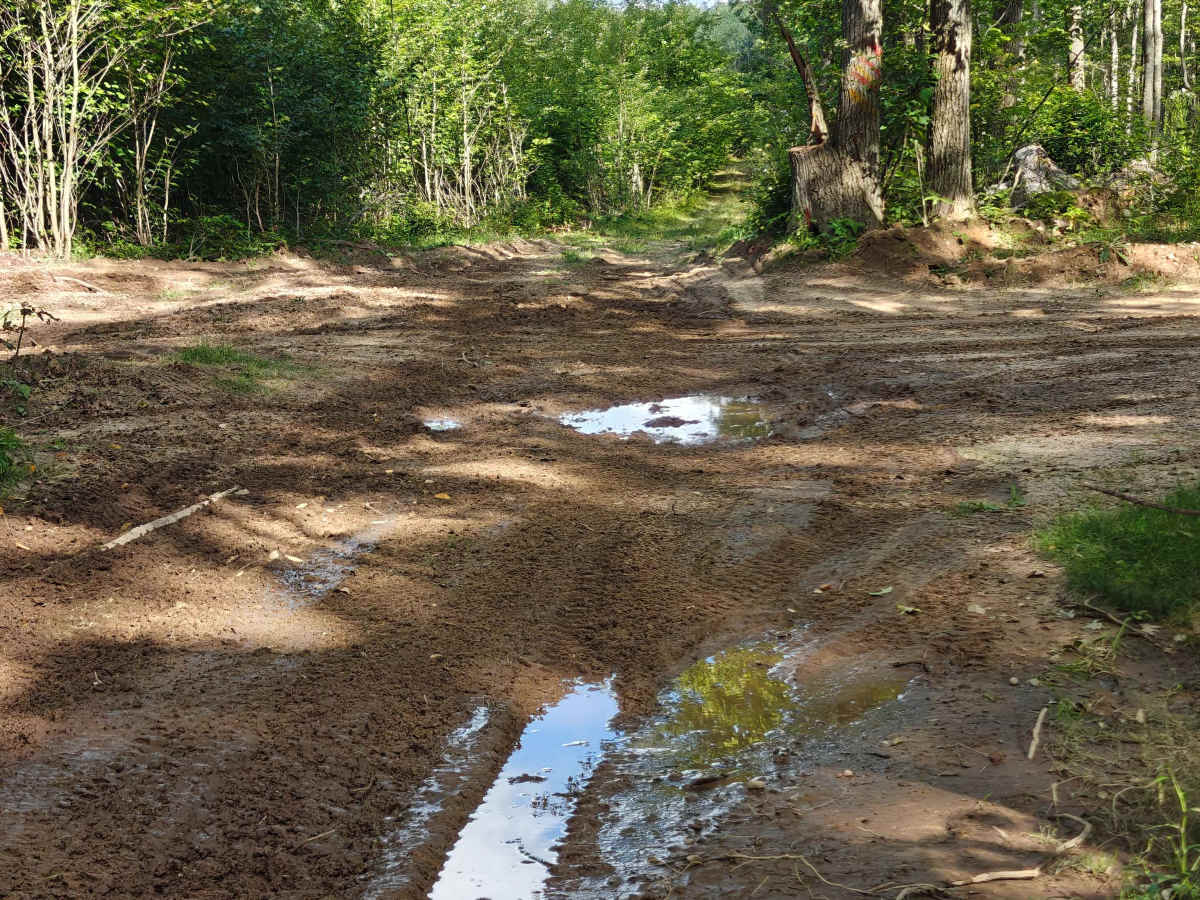 Border Trail photo 4