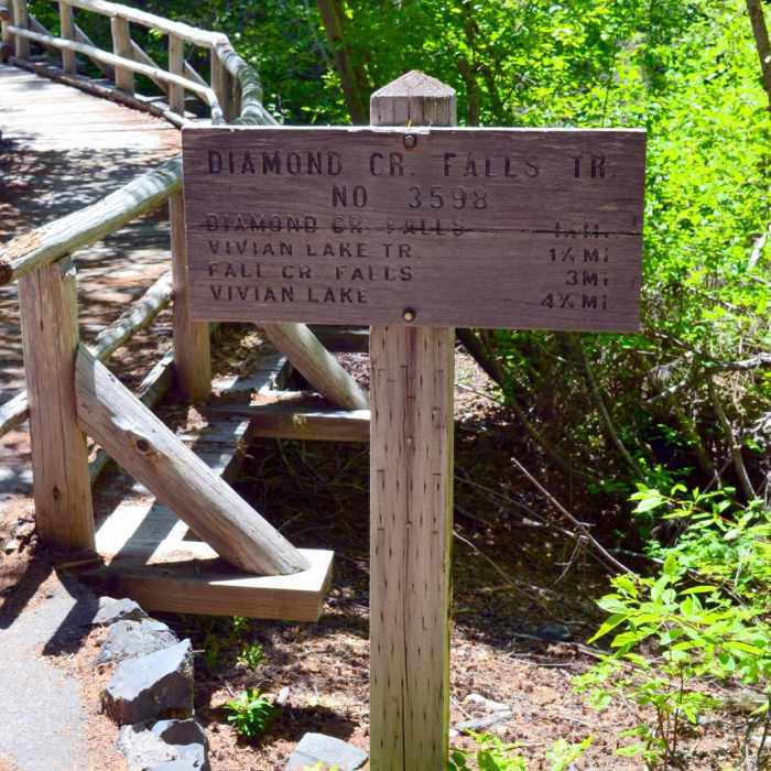 Near Diamond Creek Falls