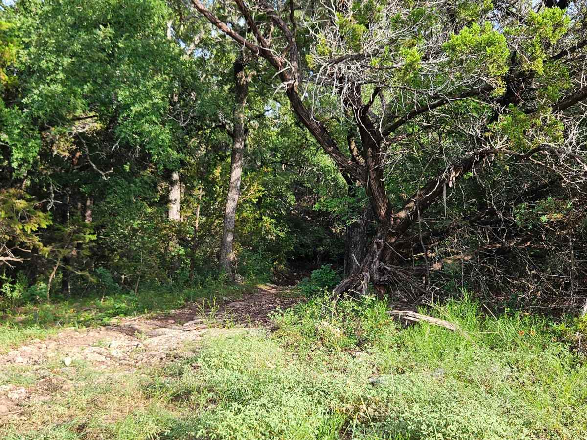 Savannah Oak Cave photo 2