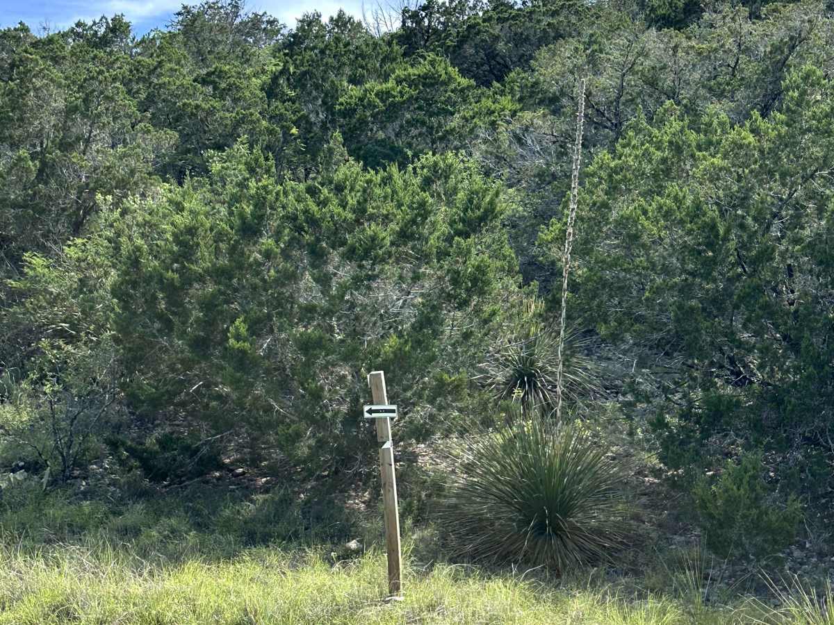 CATPAW Canyon photo 2
