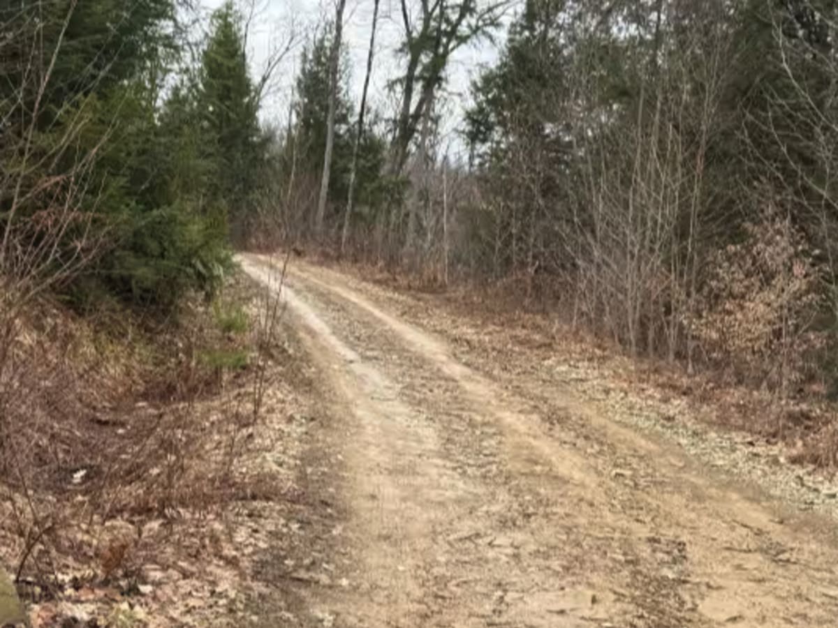 The Branch Spur A - FS 180A trail photo