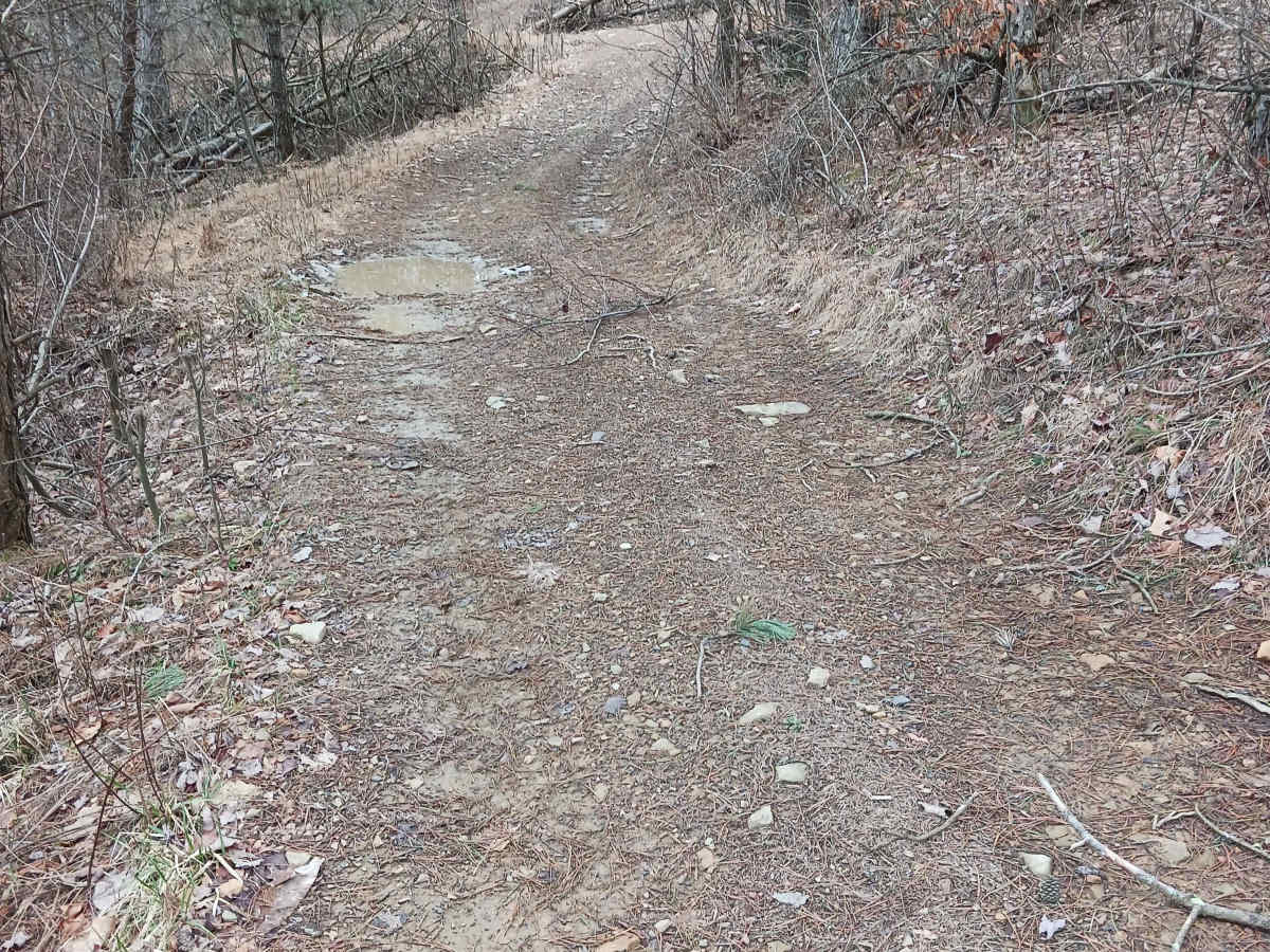 Trail 4N - Rock Run Recreation Area photo 5