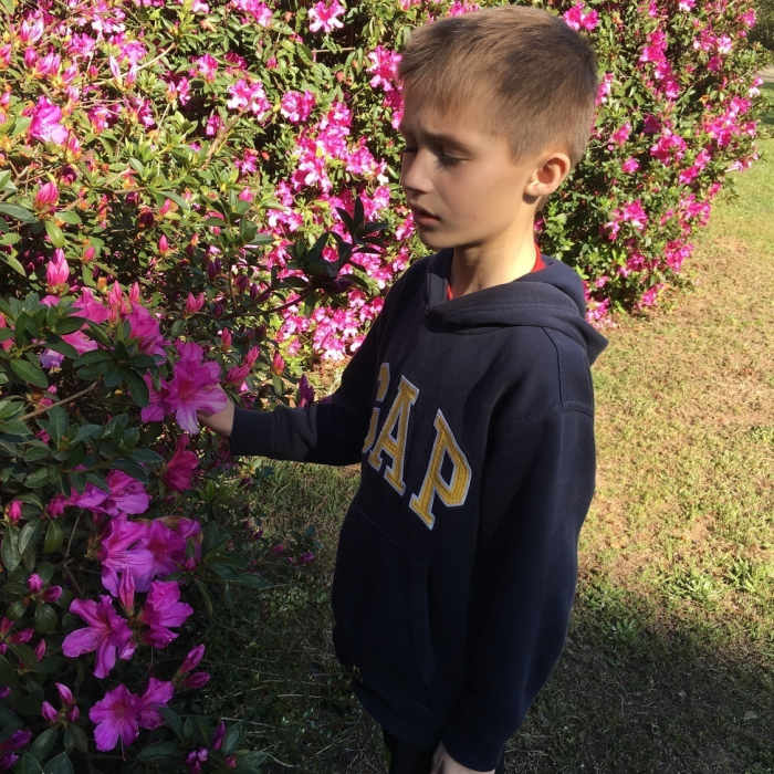 FLowers Near Naval Live Oaks Loop