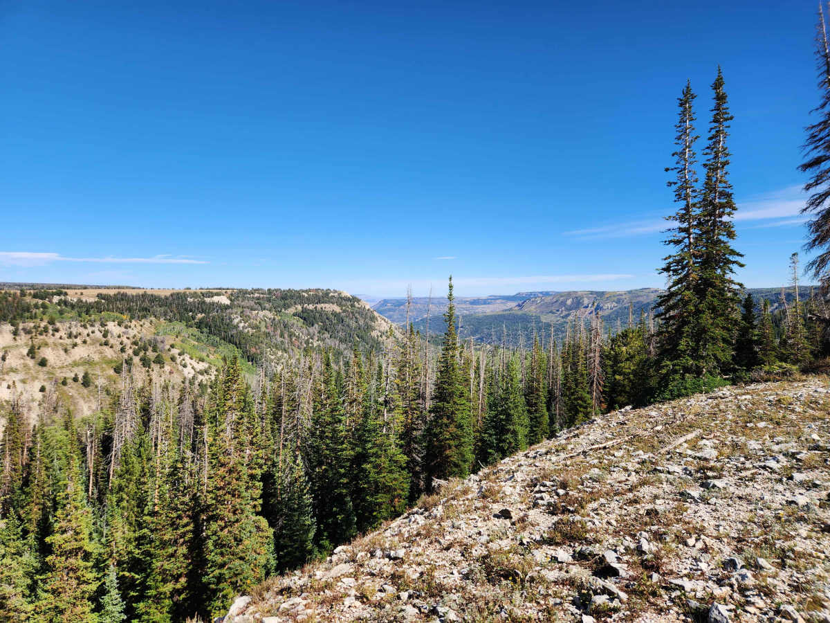 Becks Ridge - FS 52146 photo 3