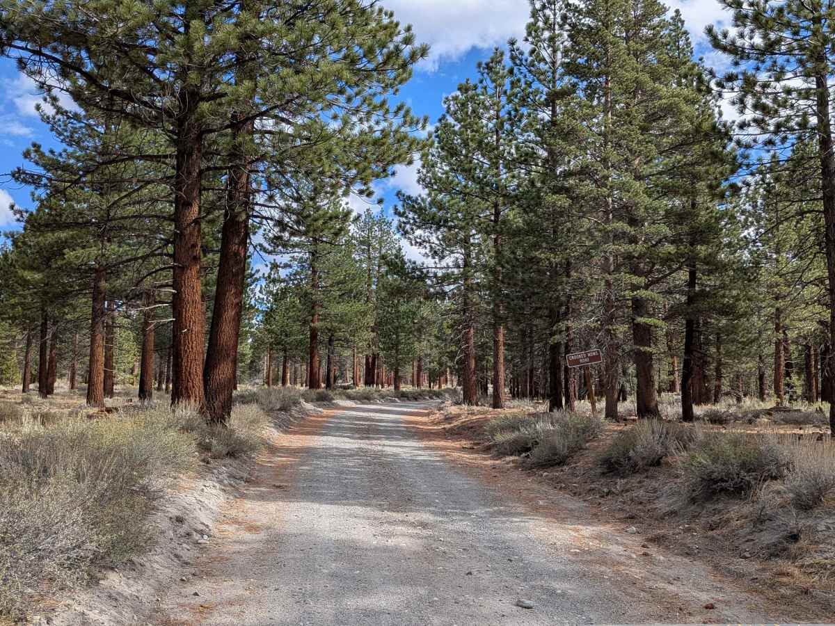 Crooked Meadow Road West trail photo
