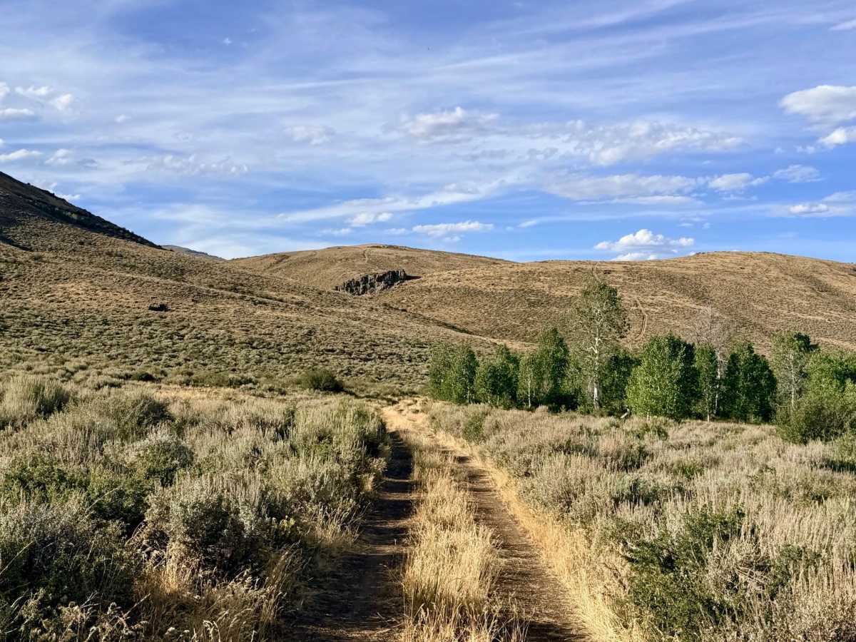Winters Creek Road - FS 56156 photo 6