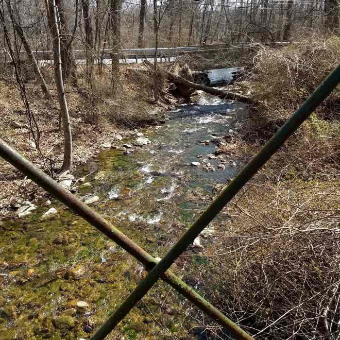 Near Catoctin Furnace Trail