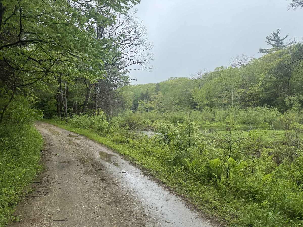 Beartown Mountain Road photo 3