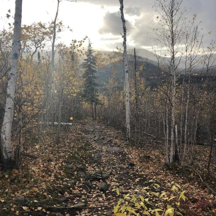 Near Angel Rocks Trail