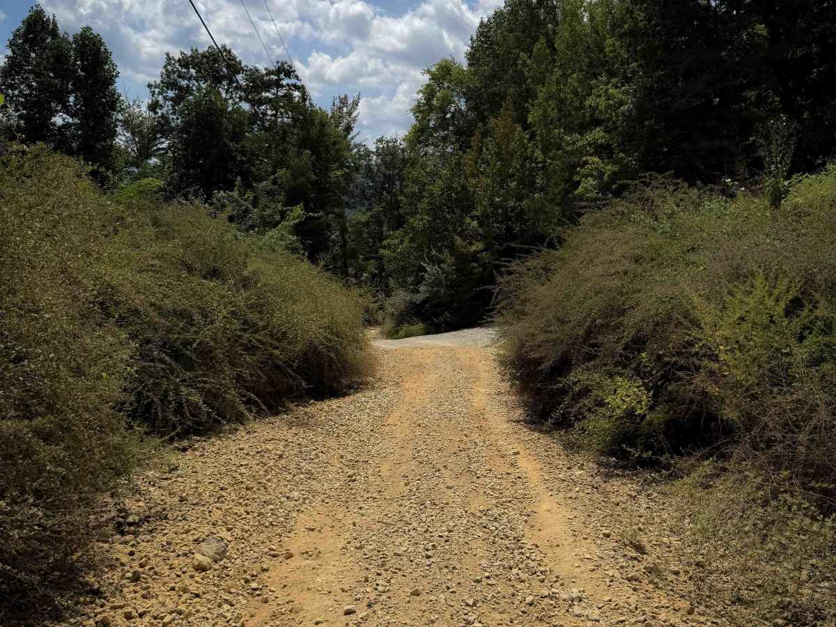 Cell Tower Road - 12 photo 5