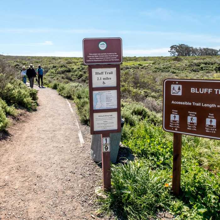 Near Bluff Trail Hike