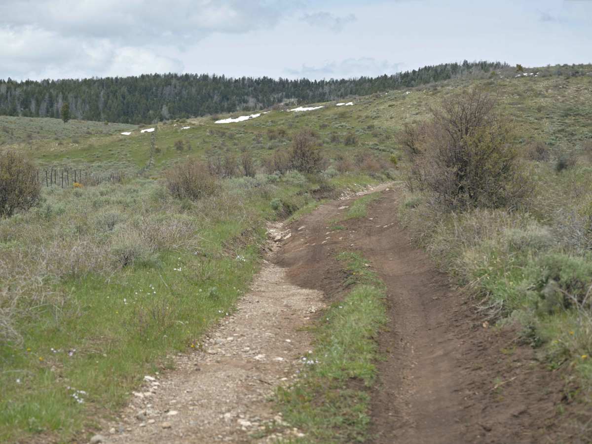 East Draw Diamond Ridge Connector - FS 122 photo 4