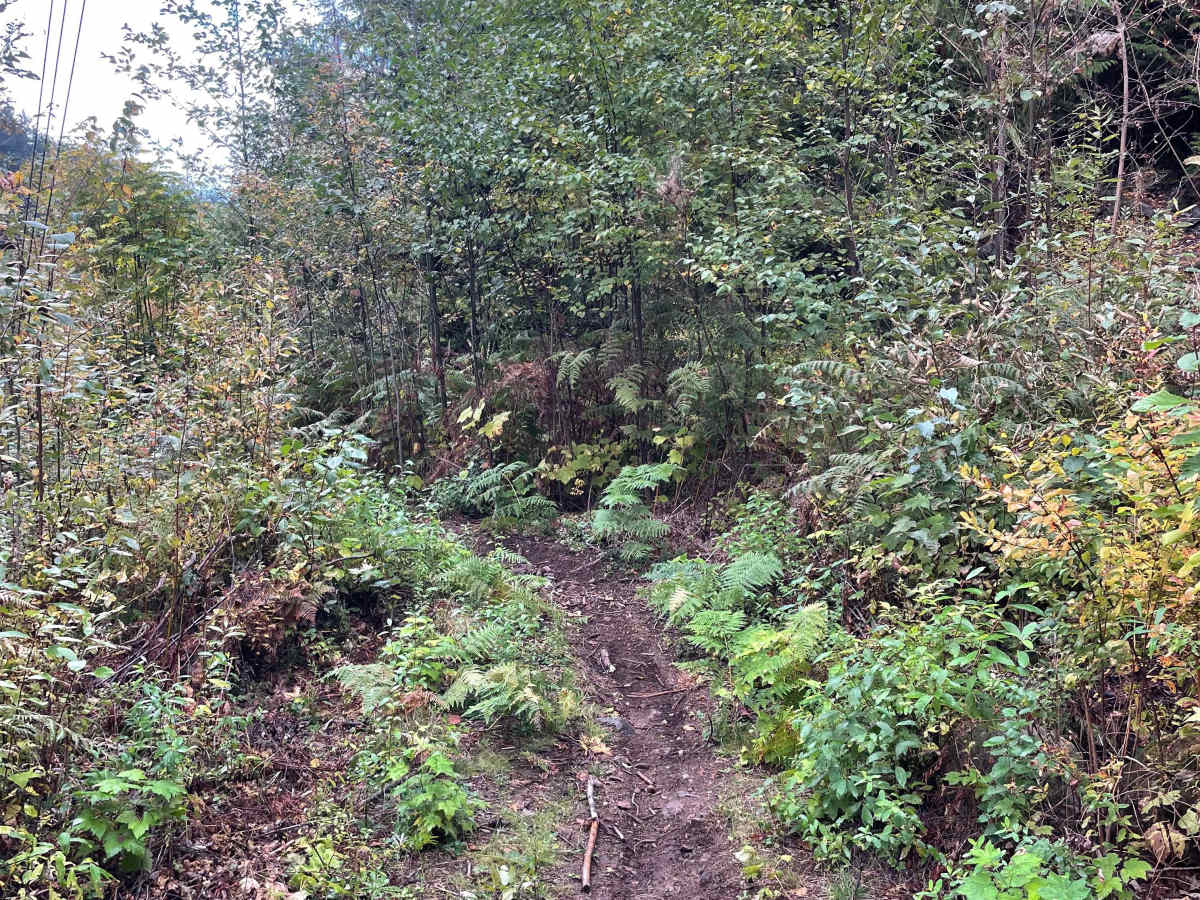 Trials Zone Access trail photo