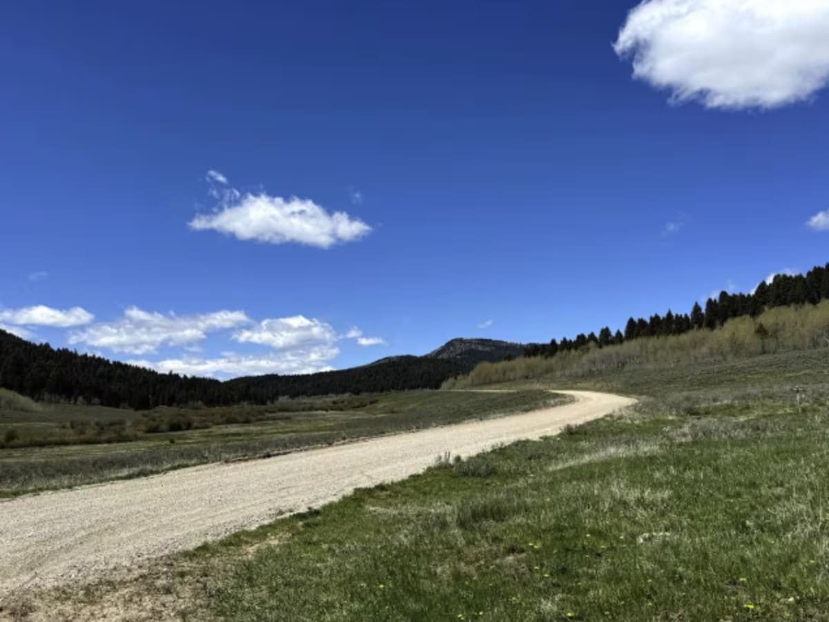 Pete Creek Road photo 3