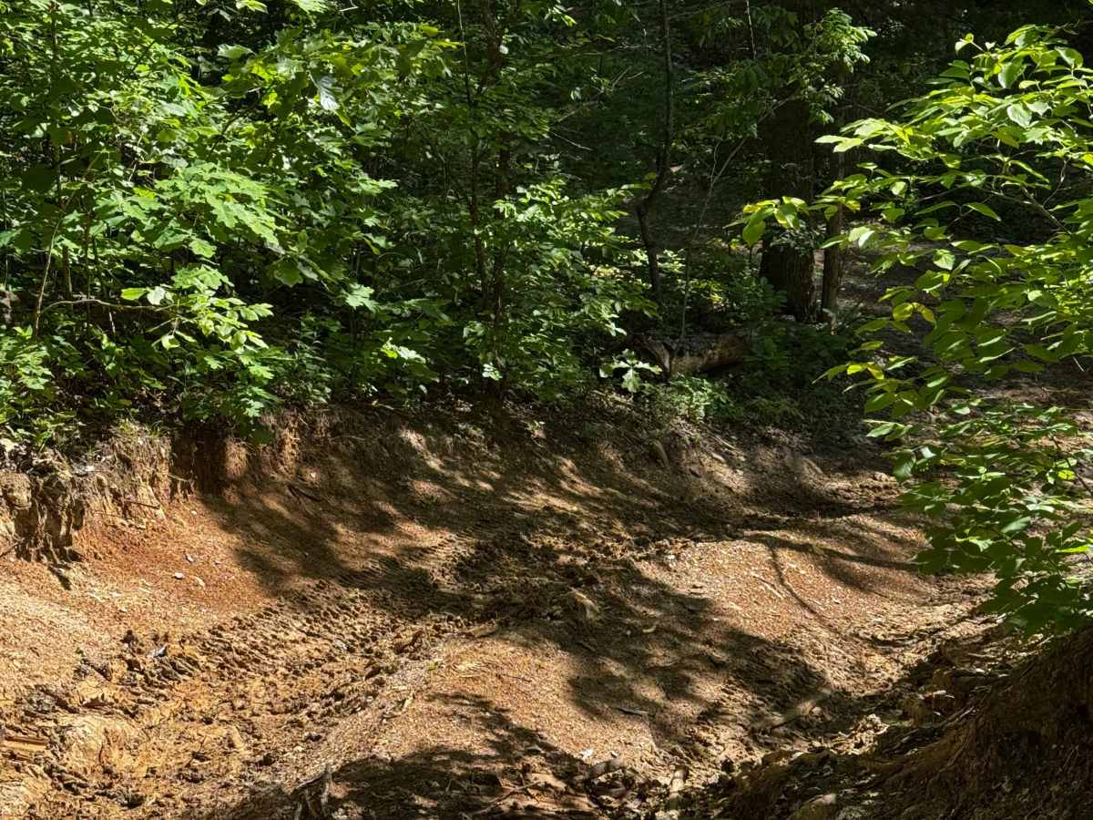 Inner Trail 18 photo 2