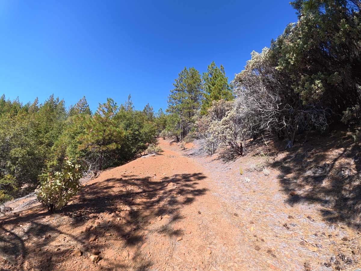 FS 1S73Y trail photo