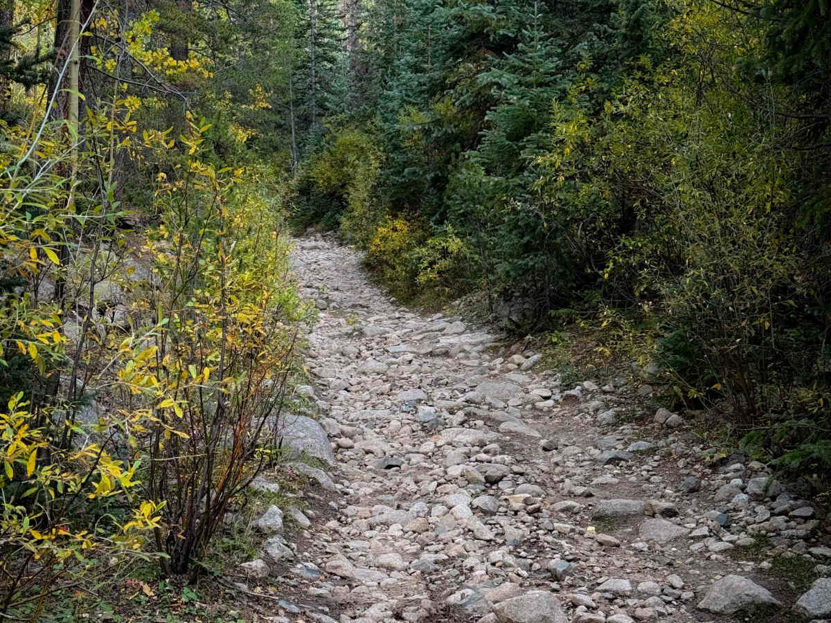 South Quartz Trail - FS 483 photo 3