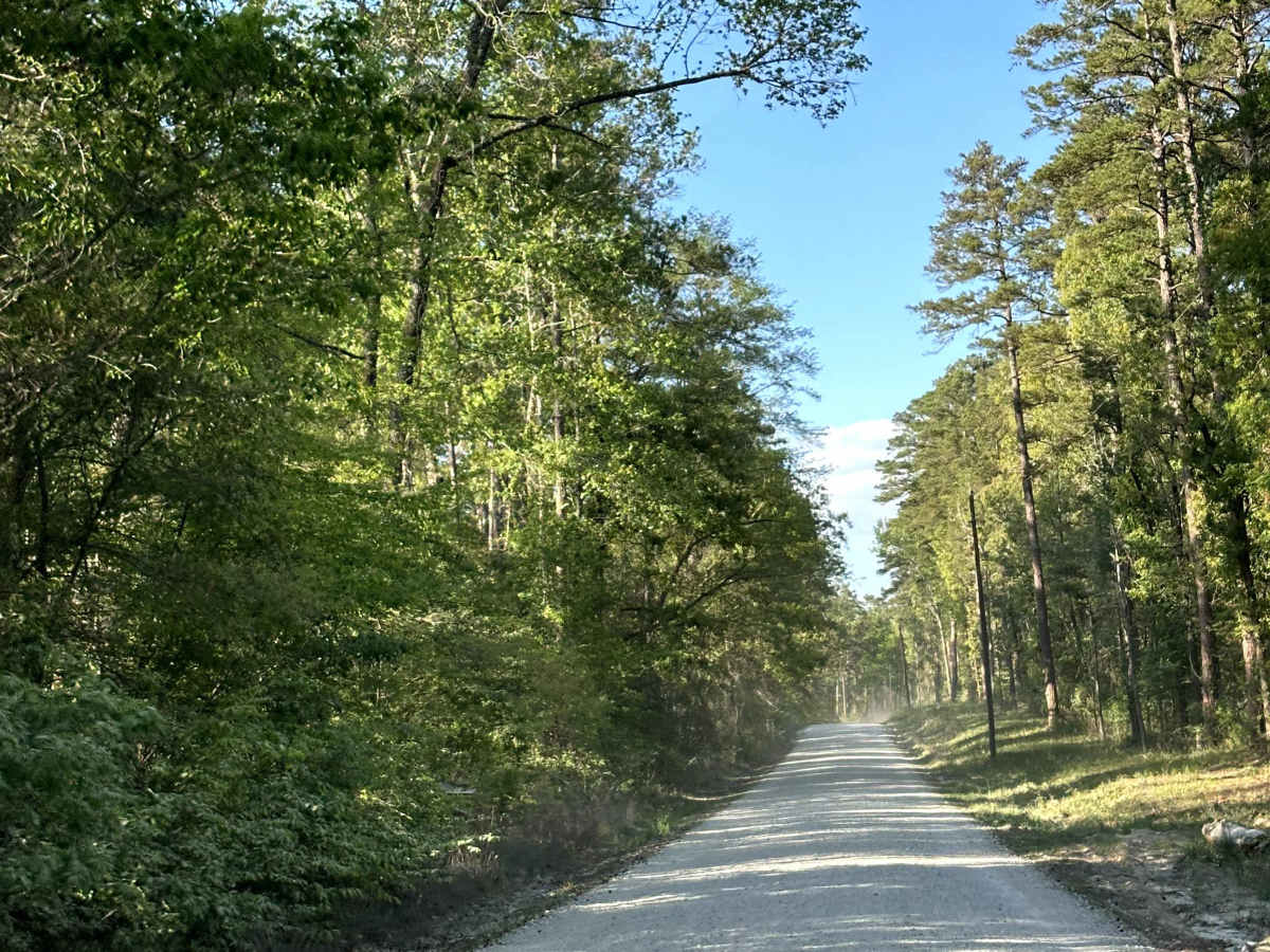 County Road 1165 photo 4