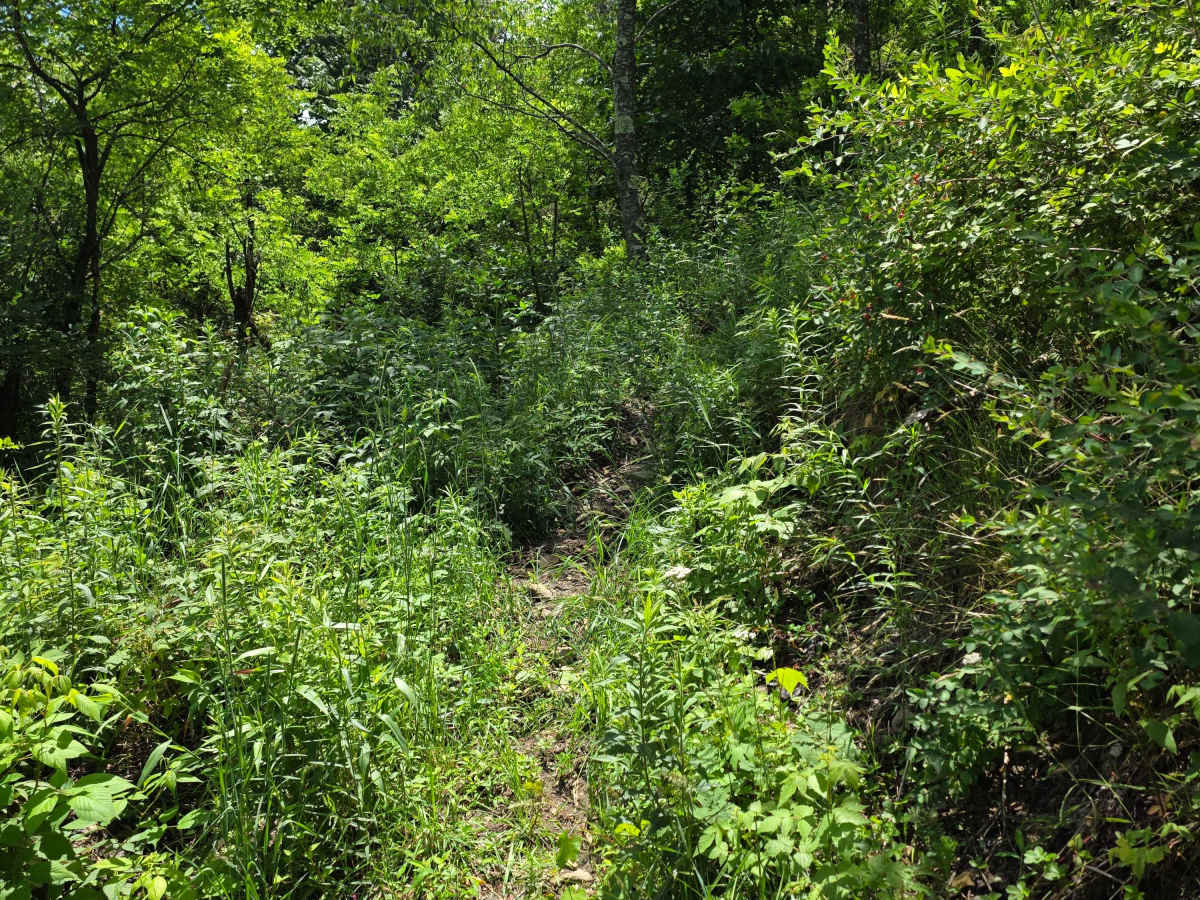Single Track AC photo 3