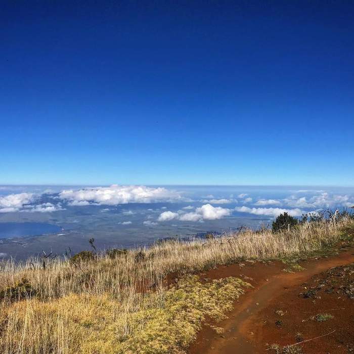 Near Maui Skyline Loop