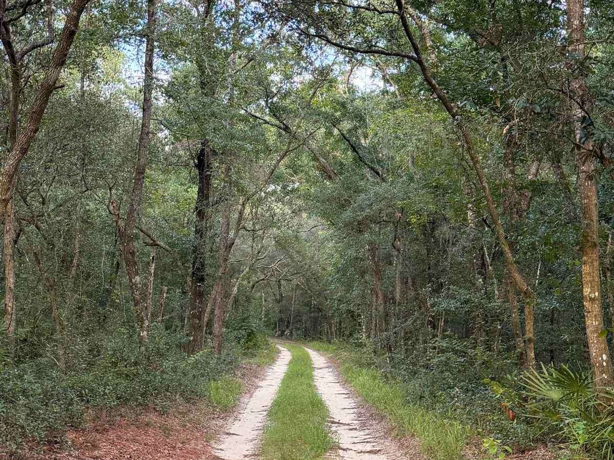 Lower Road photo 2