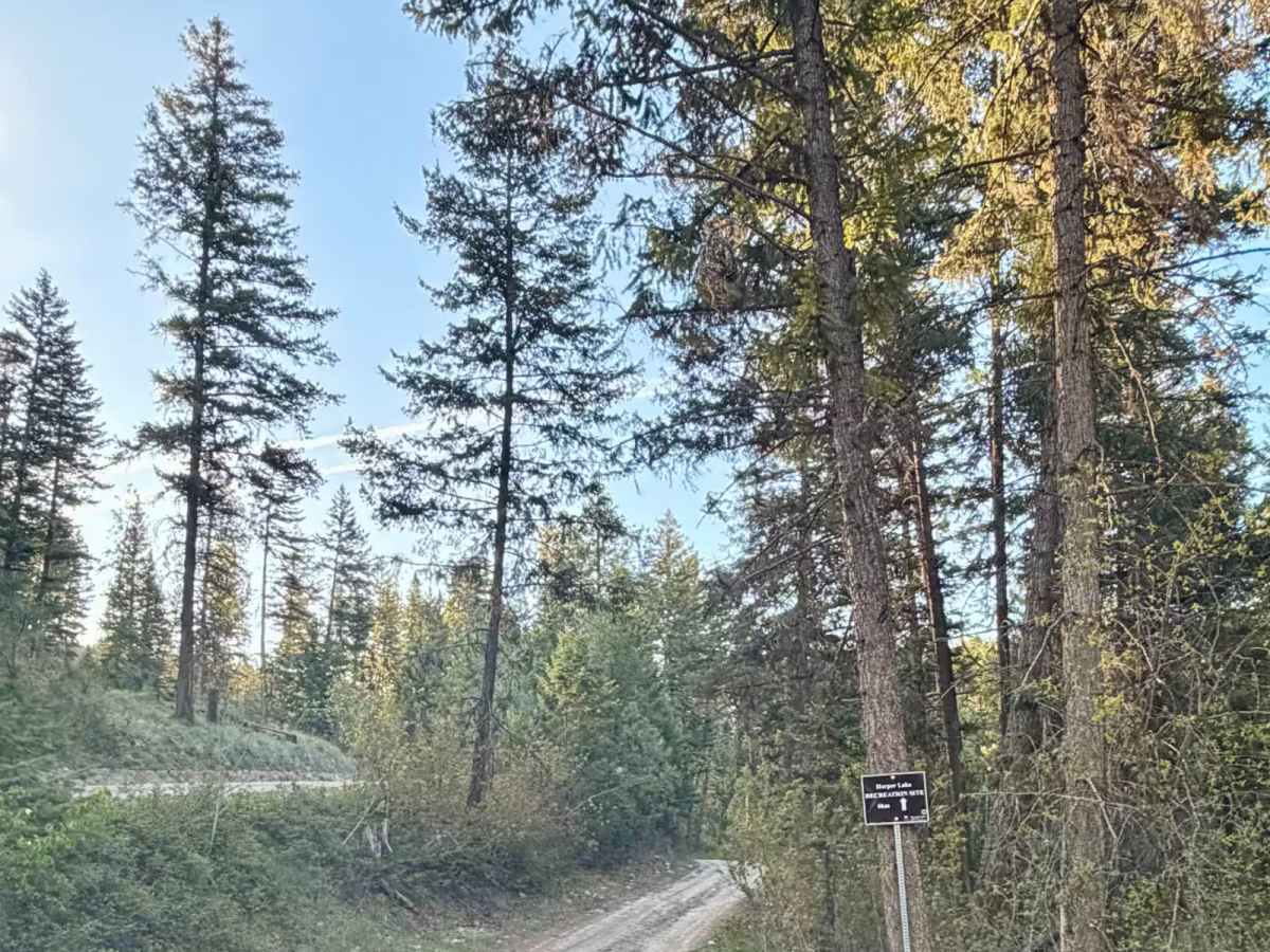 Harper Lake Road photo 5