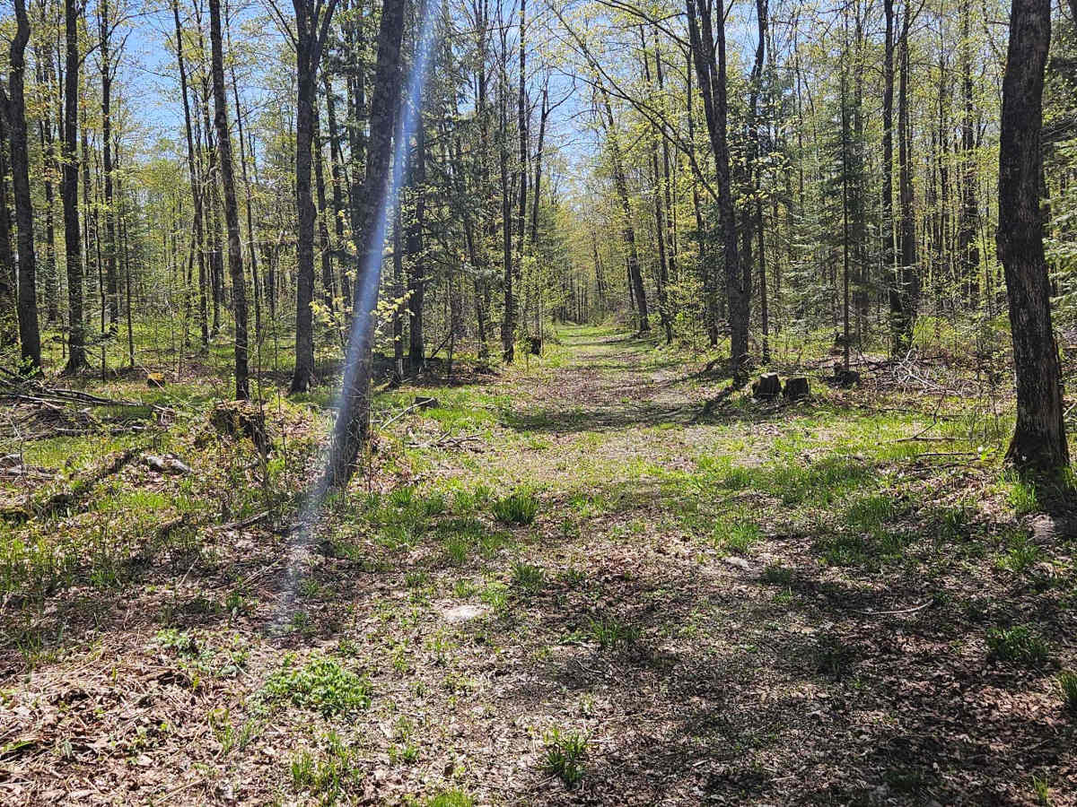 Stoney Creek Loop photo 3