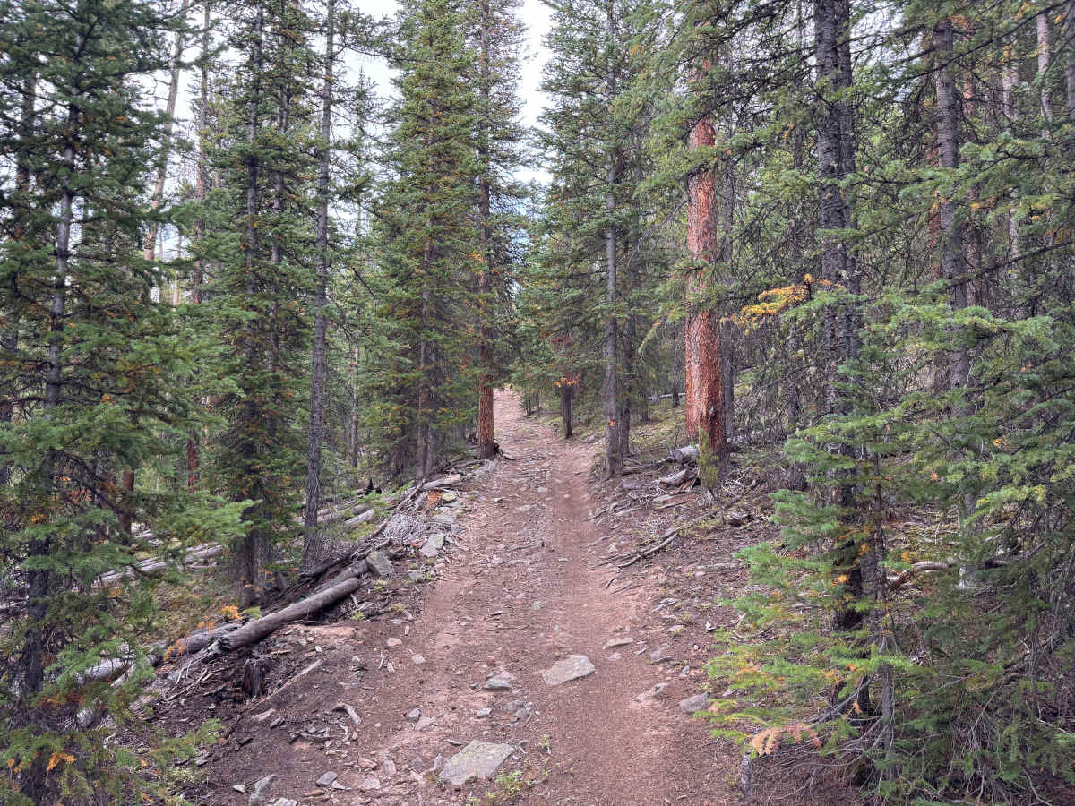 Jones Gulch Way Road photo 4