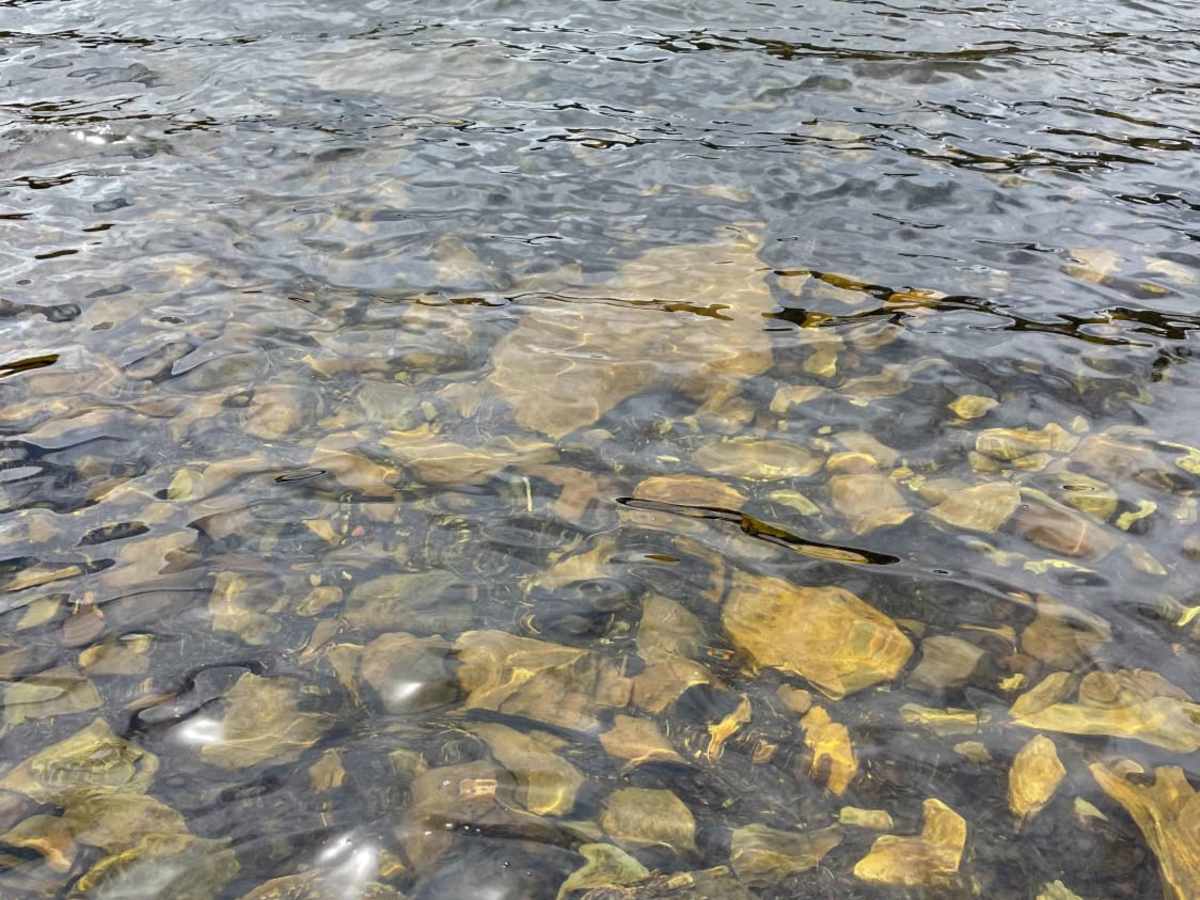 Lake Marshall photo 2