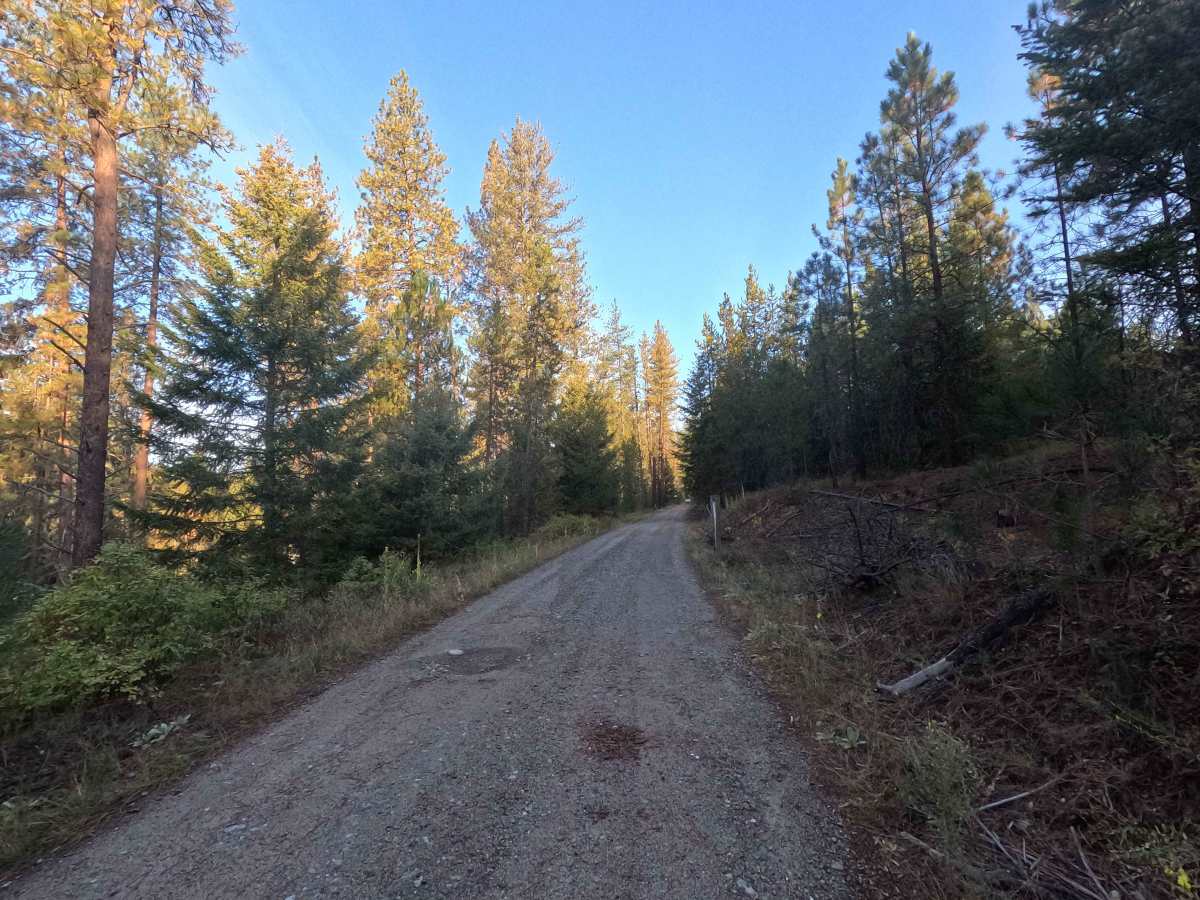 Starvation Lake Road photo 5