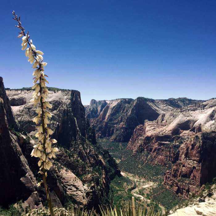 On our way to Observation Point. Near East Mesa Trail