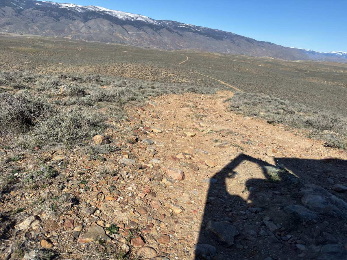 BLM 124 photo 6