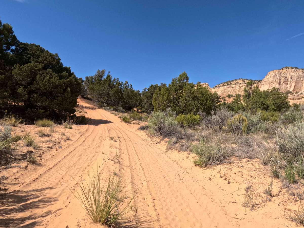 BLM 103N photo 4