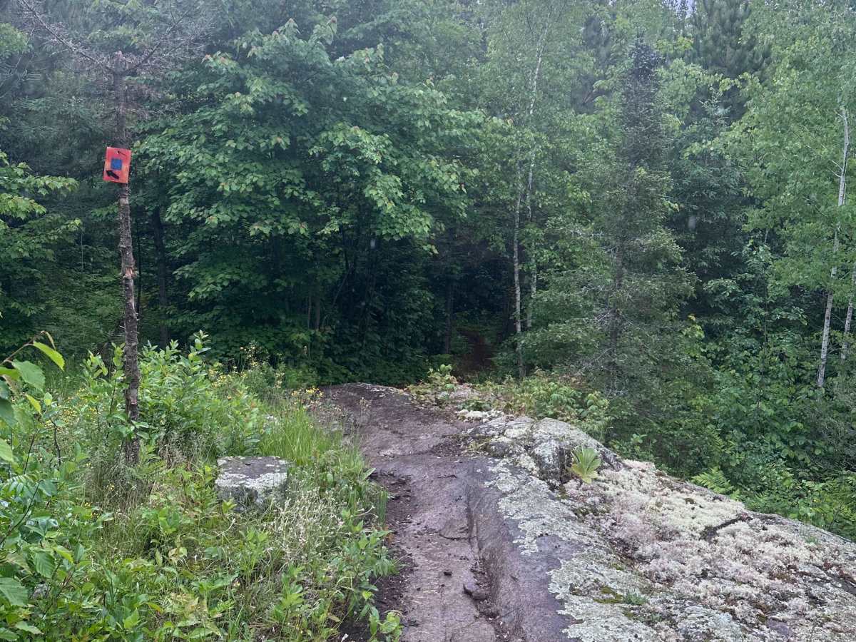 Alger Grade - Trail 8 photo 5