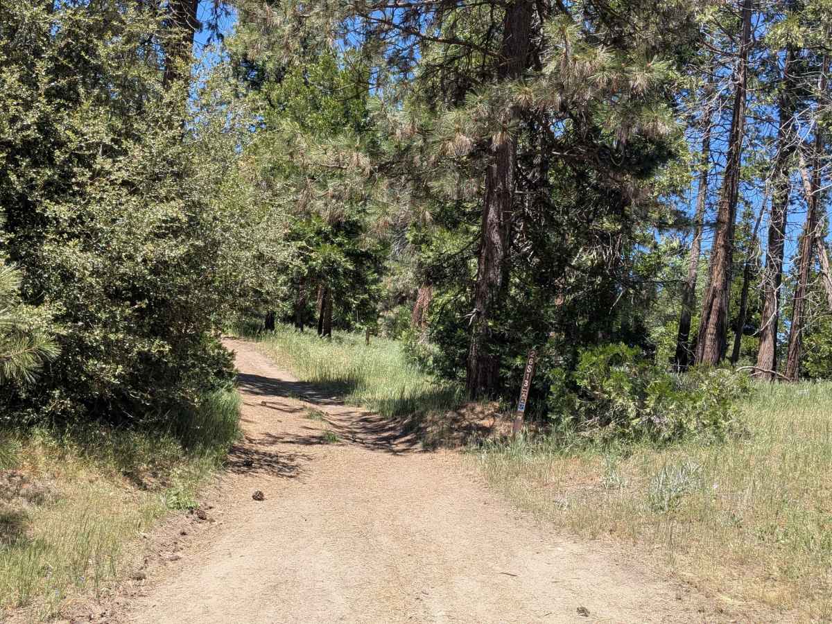 Davis Loop - FS 26S13/26S30 photo 2