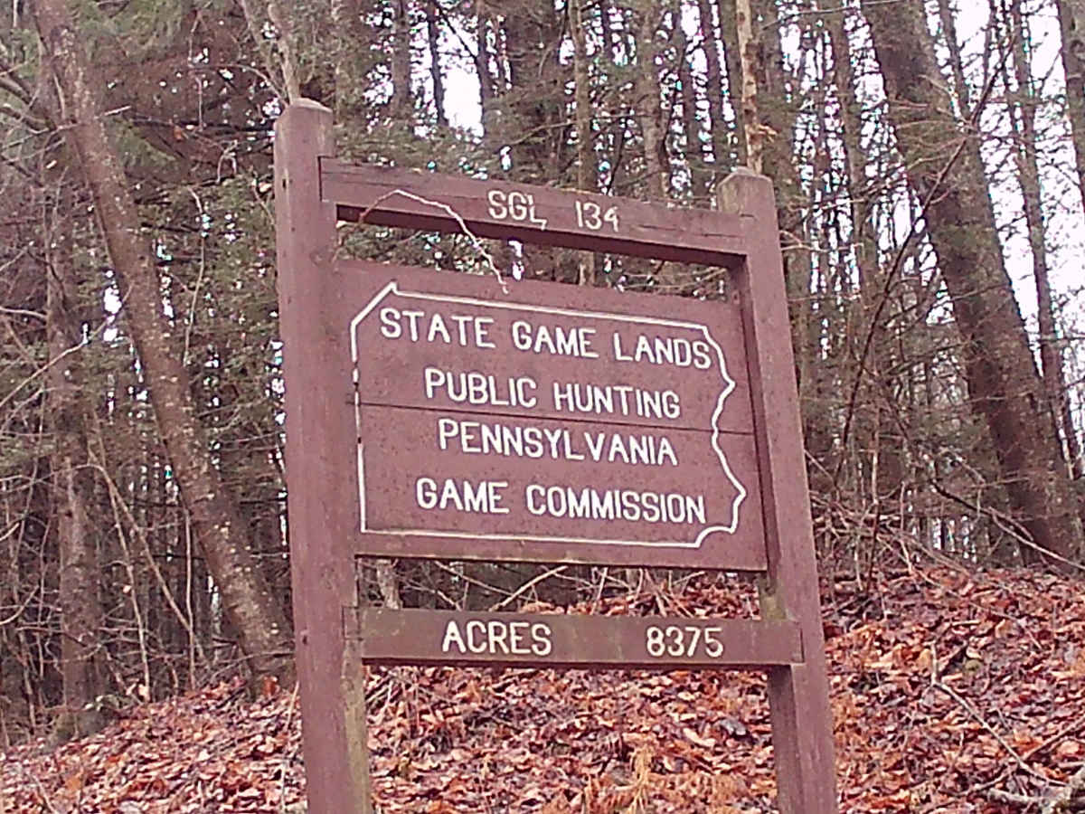 Camp Mountain Road trail photo