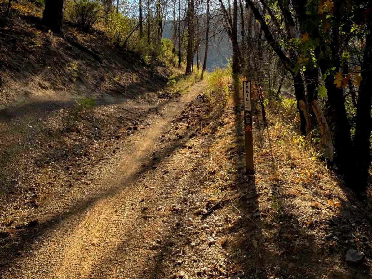 Berry Creek  photo 6