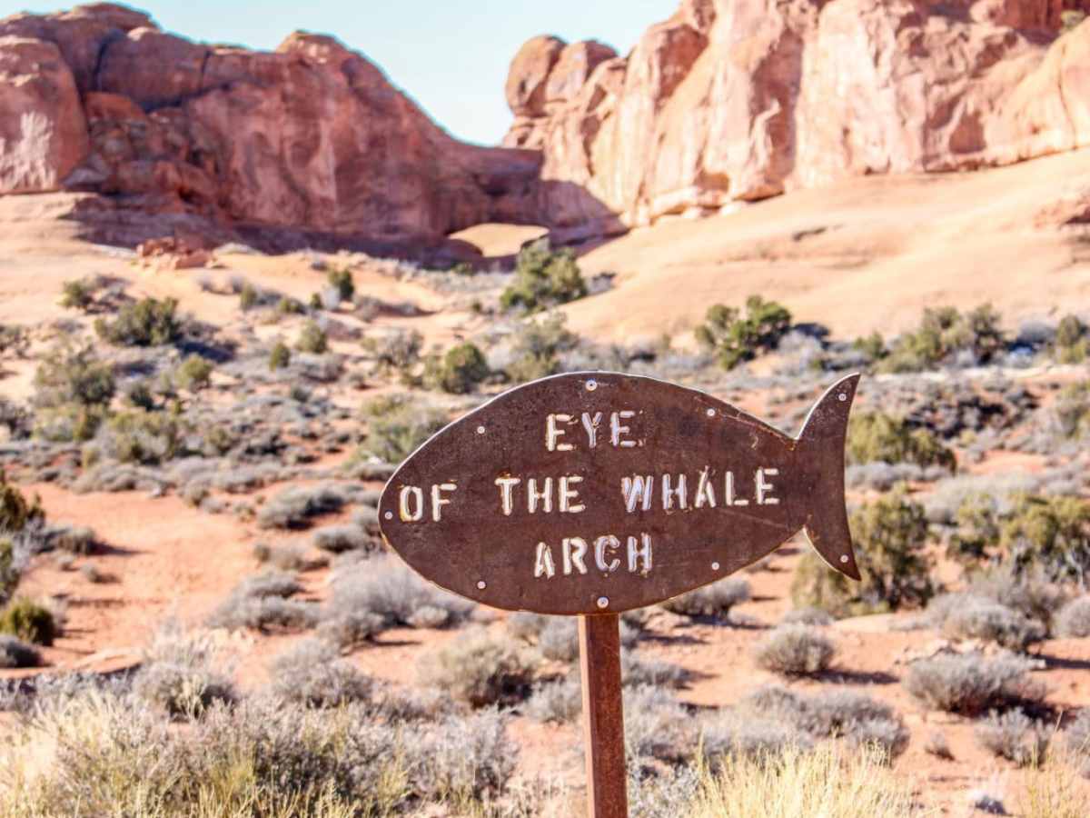 Eye of the Whale Arch photo 4