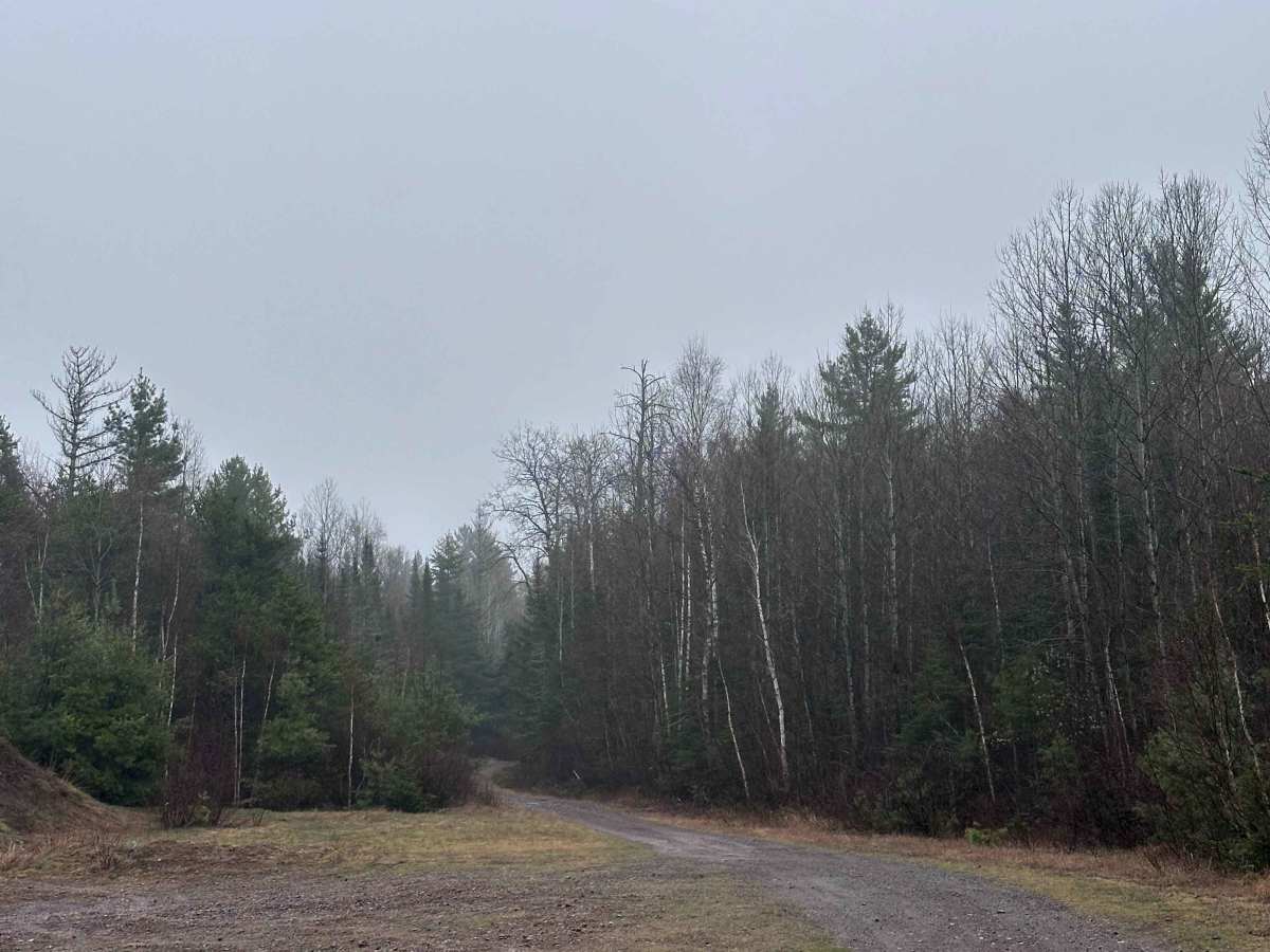 Powers Lake Road West trail photo