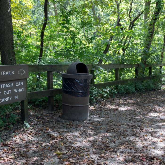 Near French Canyon Near French Canyon