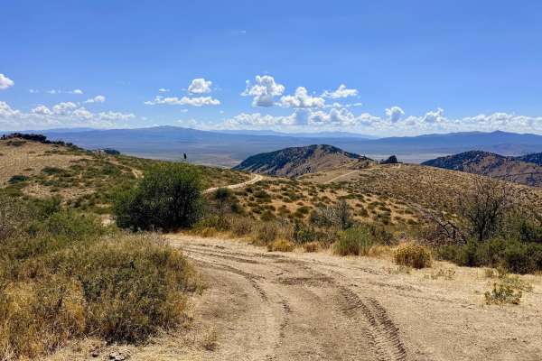  Longhair Trail