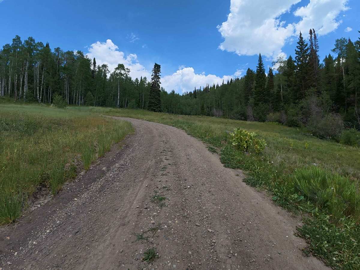 County Road 216 photo 5