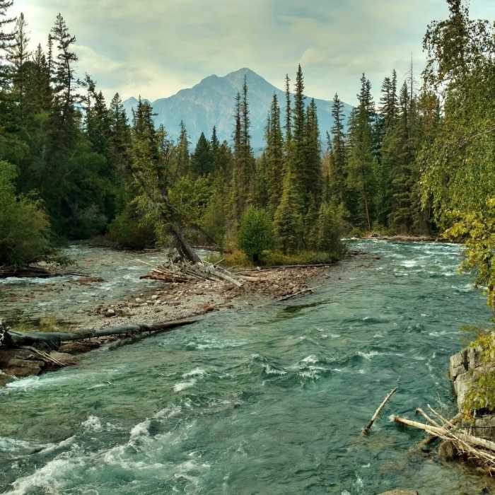 Near Maligne Canyon Trail
